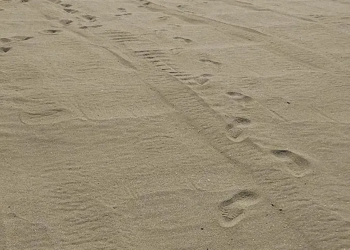 Apartament Sea Wolf луксозен с панорамна гледка към морето климатик с нова напълно оборудвана кухня отделна баня с тоалетна гледка към басейна на 30 м от плажа паркинг към хотела навсякъде близо