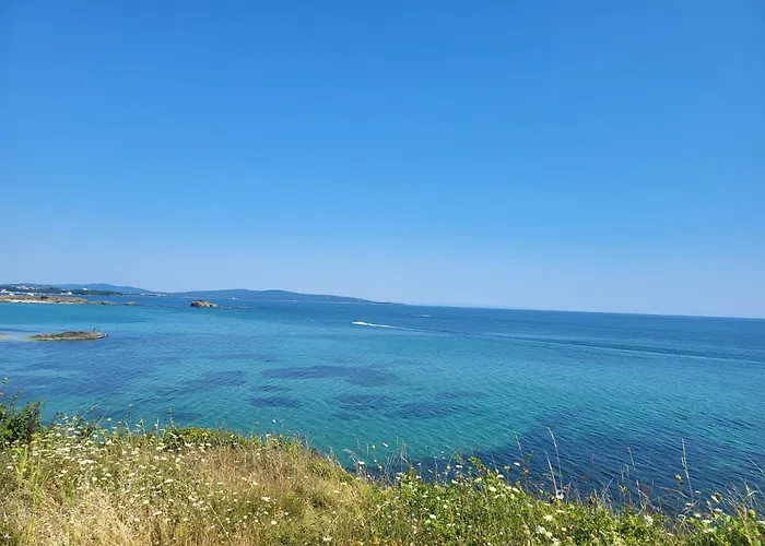 Sea Wolf луксозен с панорамна гледка към морето климатик с нова напълно оборудвана кухня отделна баня с тоалетна гледка към басейна на 30 м от плажа паркинг към хотела навсякъде близо Apartament *