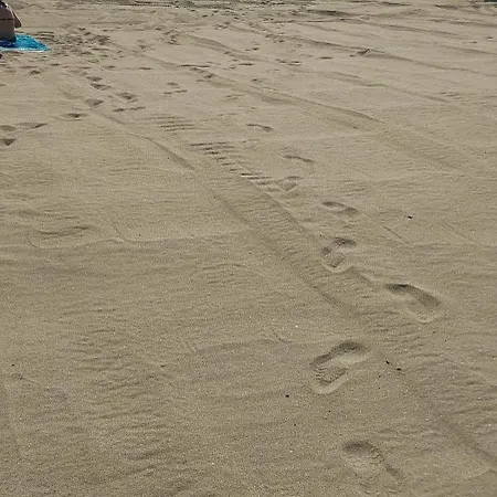 Lejlighed Sea Wolf луксозен с панорамна гледка към морето климатик с нова напълно оборудвана кухня отделна баня с тоалетна гледка към басейна на 30 м от плажа паркинг към хотела навсякъде близо